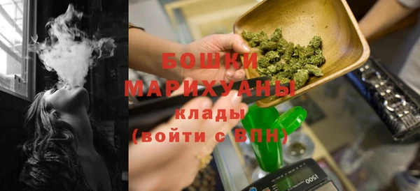 прущие крисы Горняк