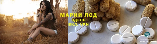 прущие крисы Горняк