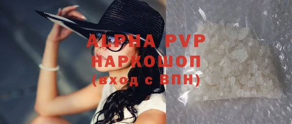 прущие крисы Горняк