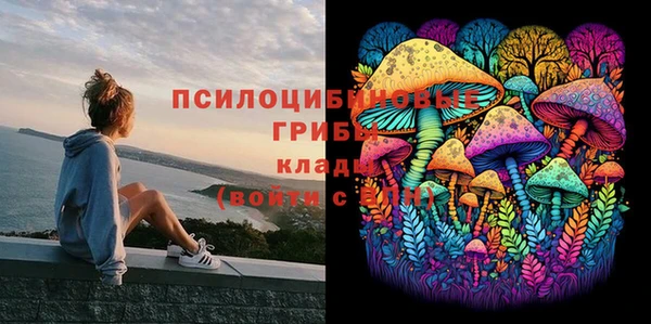 мет Горно-Алтайск