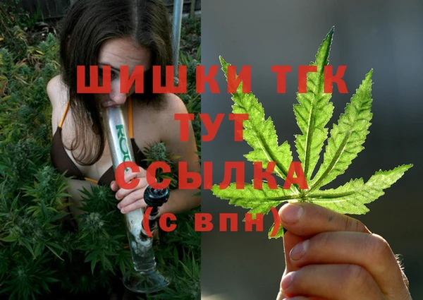 прущие крисы Горняк