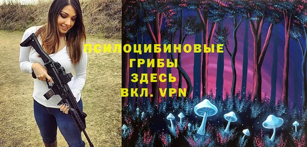 прущие крисы Горняк