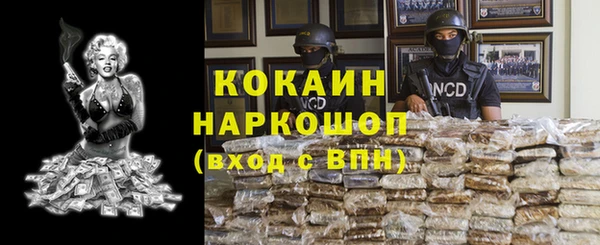 прущие крисы Горняк