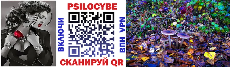 Псилоцибиновые грибы ЛСД  Купить  Михайловск 